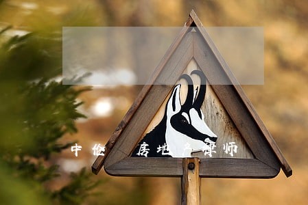 中伦 房地产律师 中伦 房地产律师